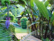Bois d'Amour - Chalet Kokorouz - Tropischer Garten 