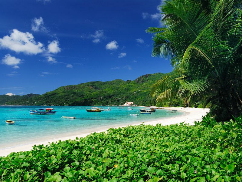 STB D Mahe11 800x600