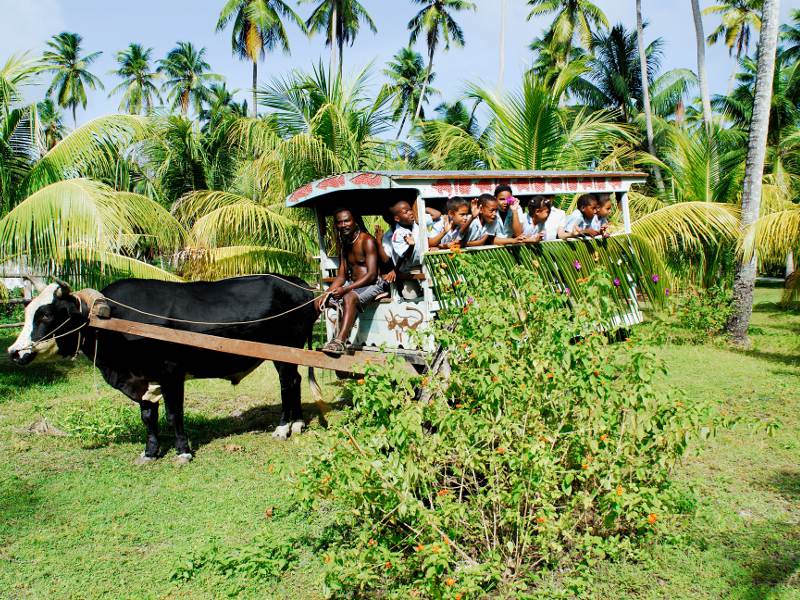 STB M LaDigue286 800x600