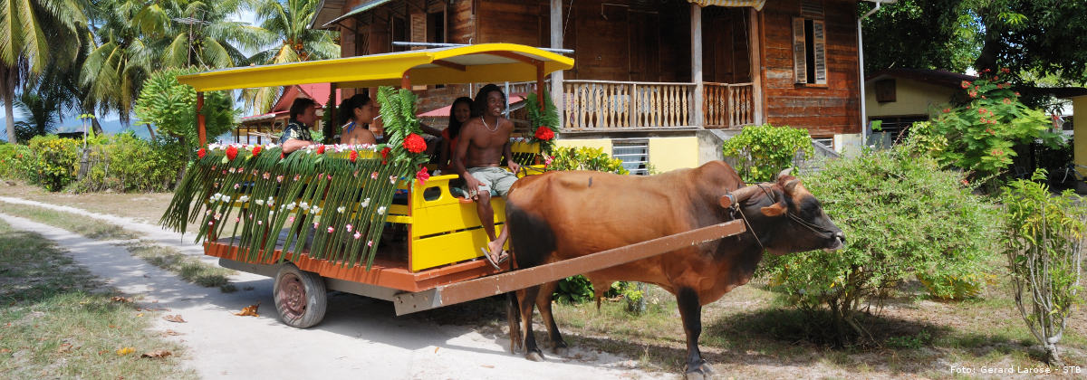 SeychellesDreams ox cart GerardLarose STB