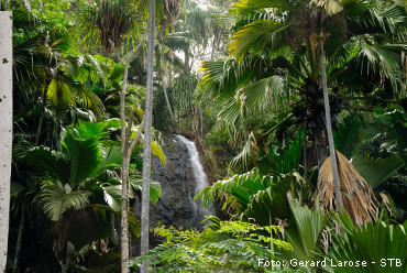seychellesdreams waterfall vallee de mai gerard larose STB